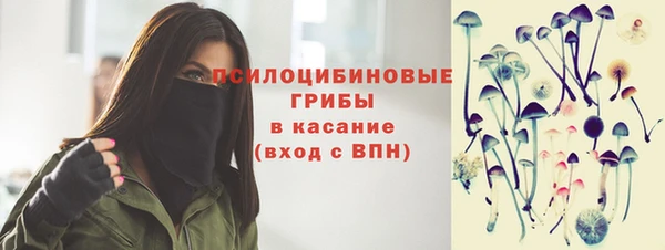 ГАЛЛЮЦИНОГЕННЫЕ ГРИБЫ Абинск