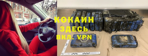 гашик Нягань