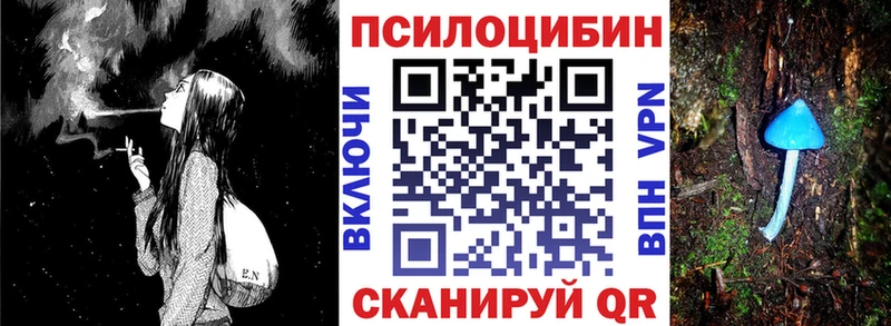 ссылка на мегу tor  Нахабино  Псилоцибиновые грибы ЛСД  где найти  