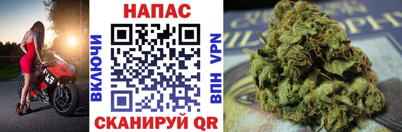 Каннабис White Widow  Нахабино 